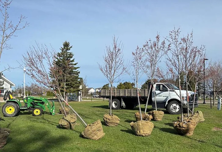 IM awarded $4,000 tree planting grant